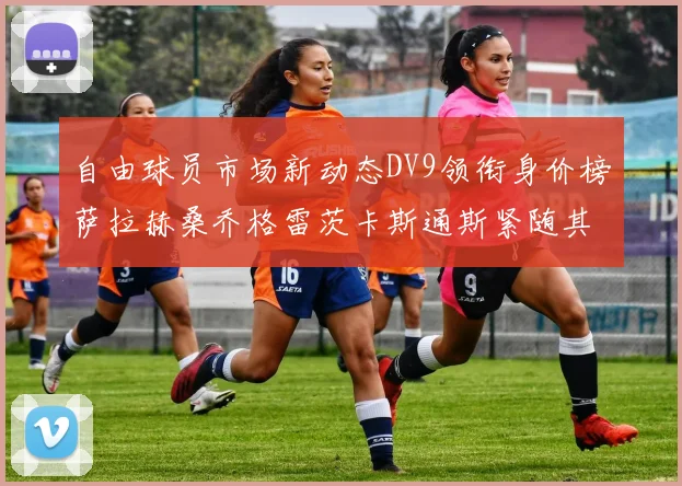 自由球员市场新动态DV9领衔身价榜萨拉赫桑乔格雷茨卡斯通斯紧随其后